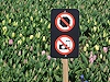 Sign at the Tulip Festival