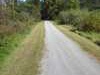 The Osgoode Link Pathway