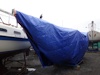 Vesper under her tarp