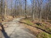 Trail 1
