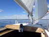 The view forward