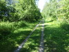 Osgoode Link Pathway