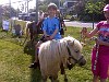 Julian riding a pony