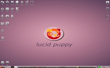 Puppy Linux 5.1.1 custom desktop