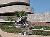 The Zen Garden at the Museum of History