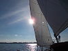 Sailing sunshine