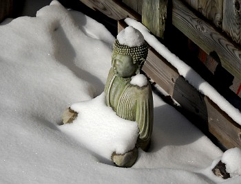 Winter Buddha