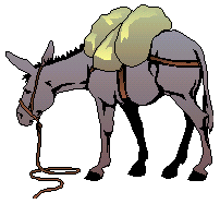 [Donkey with pack]