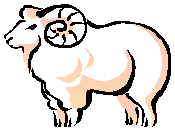 [Sheep with Curly Horns]