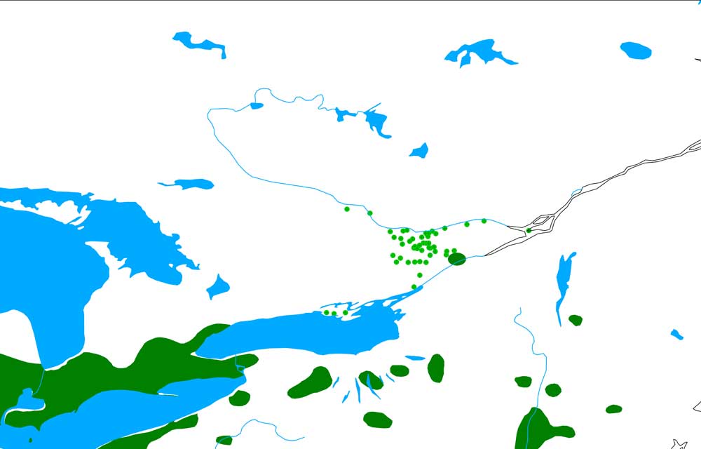 Juglans nigra range