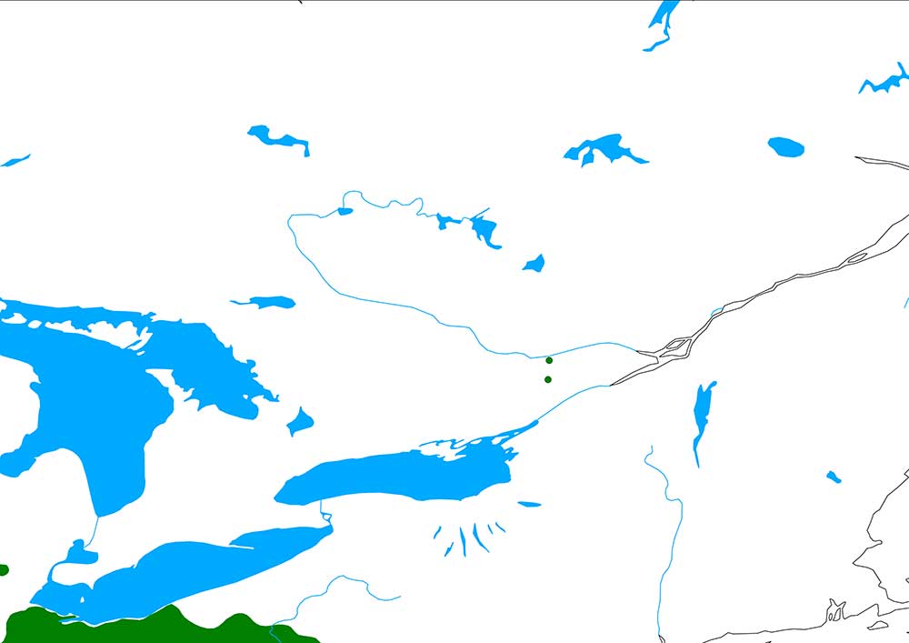 Quercus imbricata range