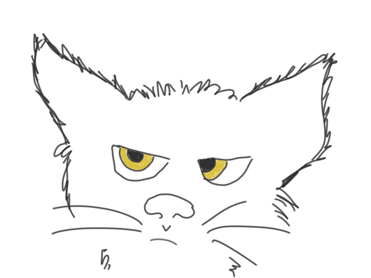 TJ grumpy cat drawing iPad app 2017 or 2018