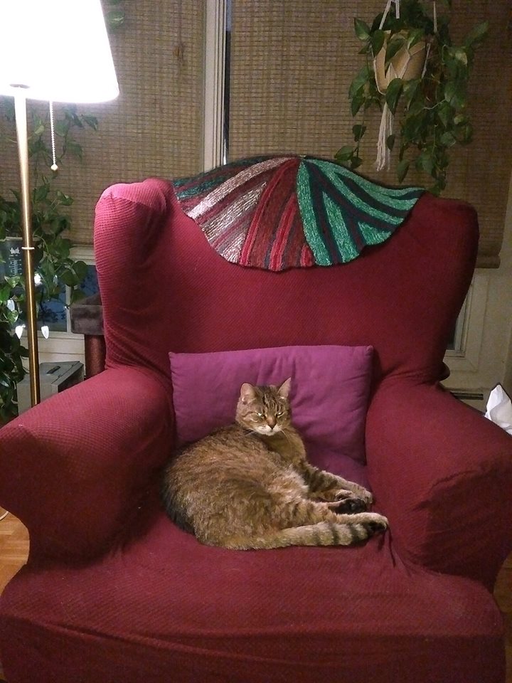Tabby cat princess in an armchair