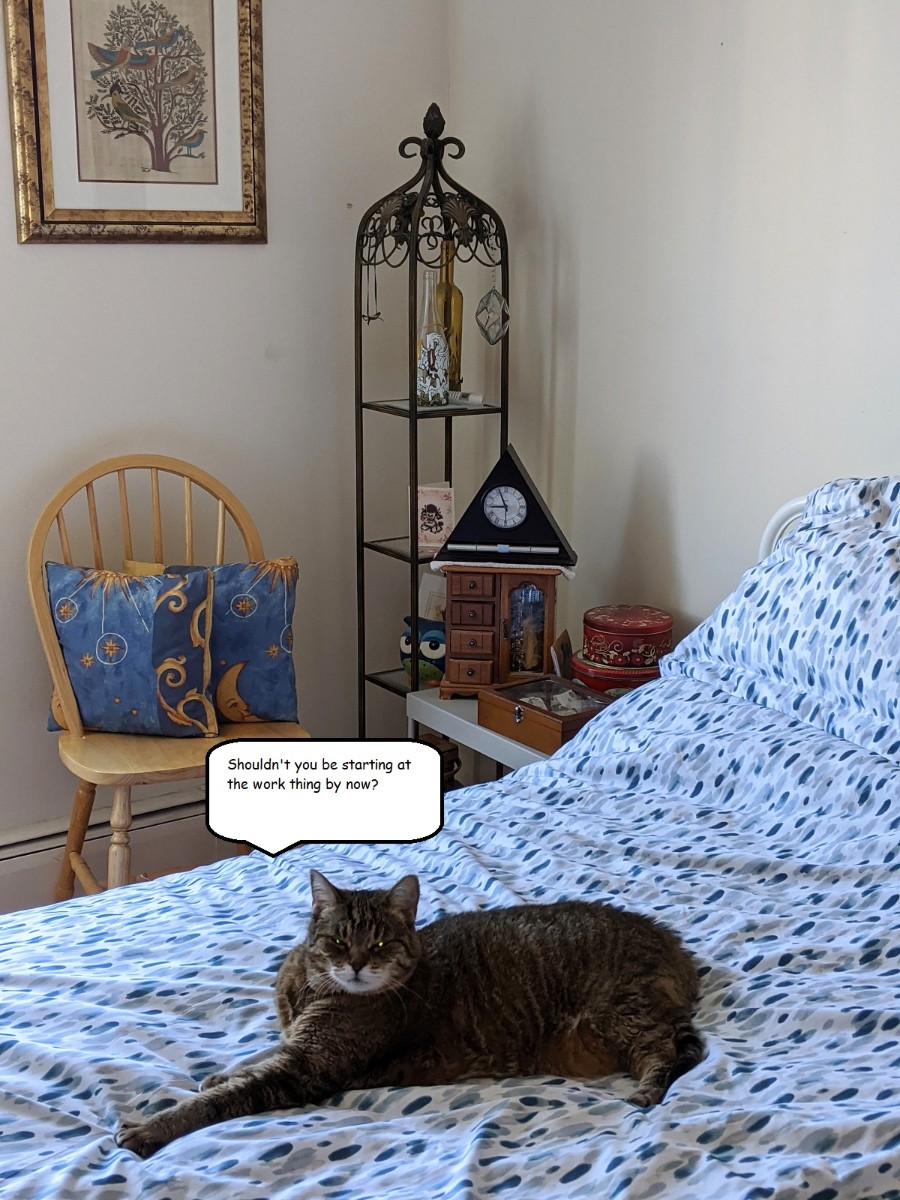 Geneva Tabby cat on humans bed word bubble time to start the work thing