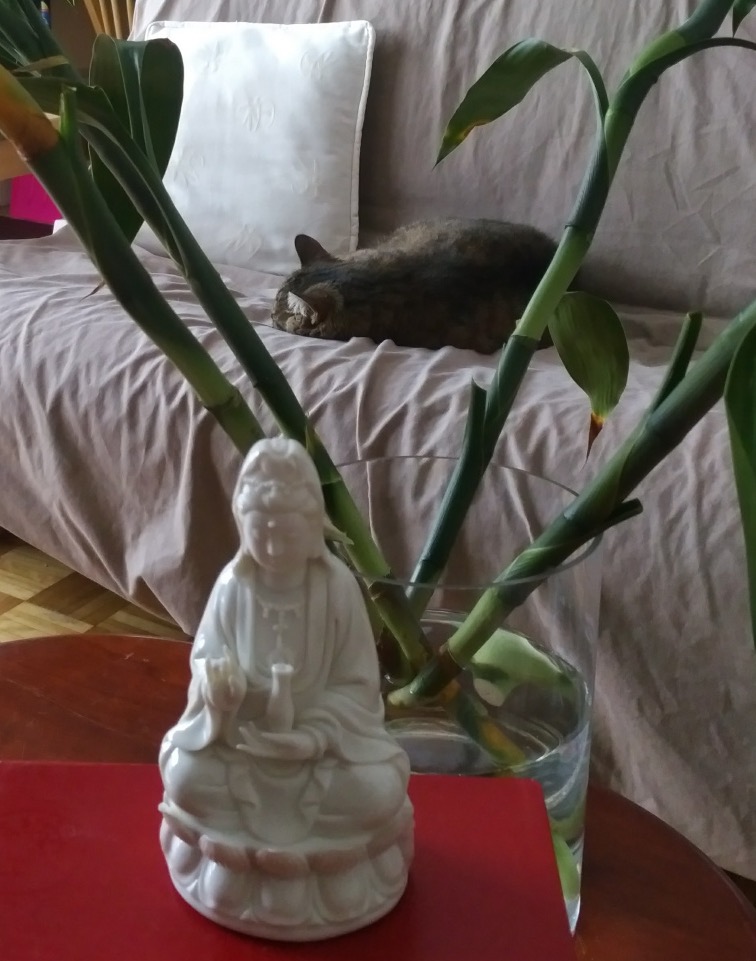 Kwan Yin statue and brown tabby cat