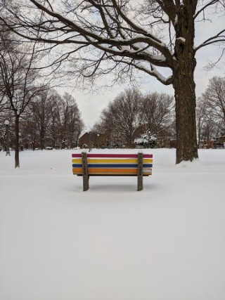 Benches in Dundonald Park Ottawa Nov.12 2019