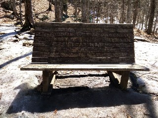 MacKenzie waterfall bench