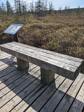 Bench on the boardwalk at Mer Bleue bog NCC park