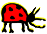 image - Ladybug