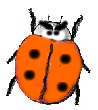 image - when ladybeetles go bad