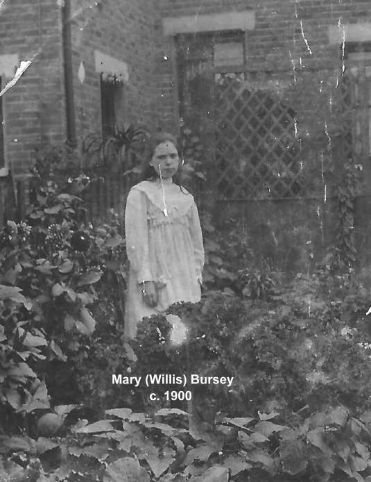 Mary(Willis) Bursey c.1900