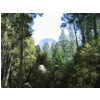 Ahwahnee - Mirror Lake Tr