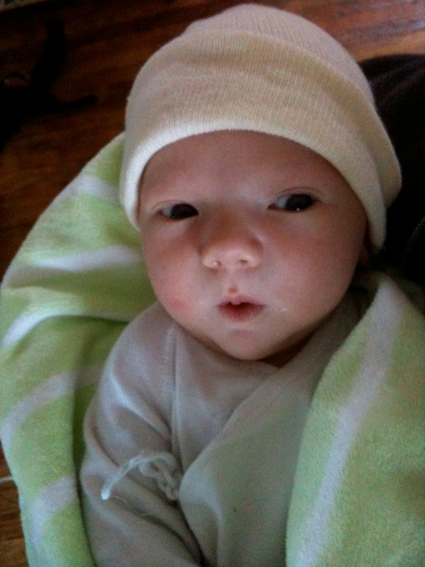 [Milo in Toronto a couple of days old]