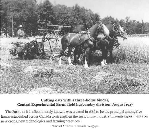 Central Experimental Farm, Department of Agriculture, Ottawa, Canada,1927