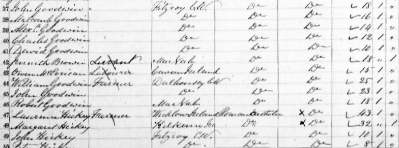 Hickey and Goodwin family in 1851 Fitzroy Township, Canada