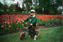 Darius at  Tulip festival
