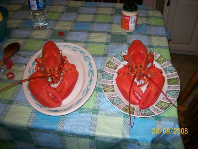 lobstershomecooked.jpg