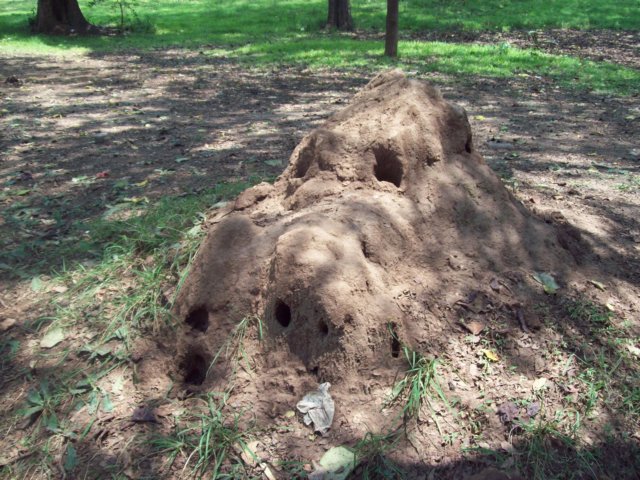 snakemound.jpg