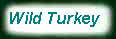 Turkey subspecies
