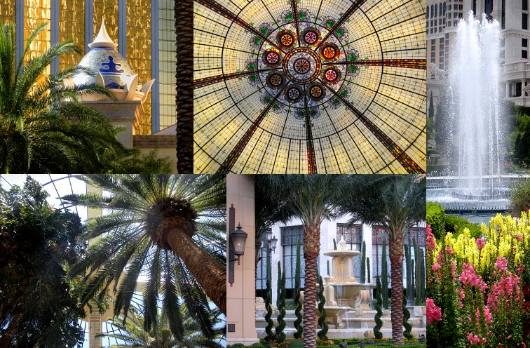 various views
