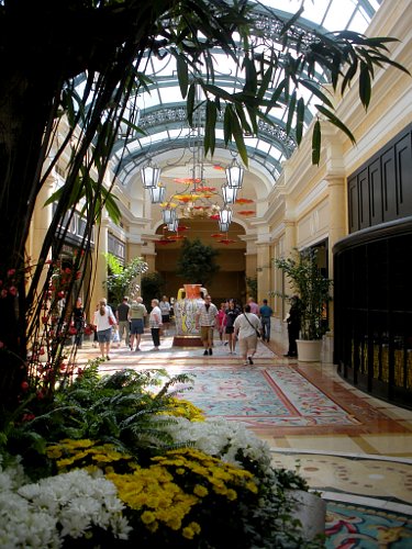 Shopping area