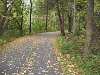 Gatineau Park paved bike path