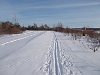 Sawmill Creek ski tracks