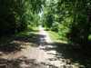 Osgoode Link Pathway