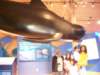 whalemuseaumcapebreton_small.jpg