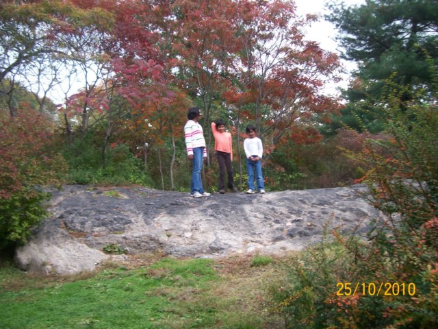 centralparkhike.jpg