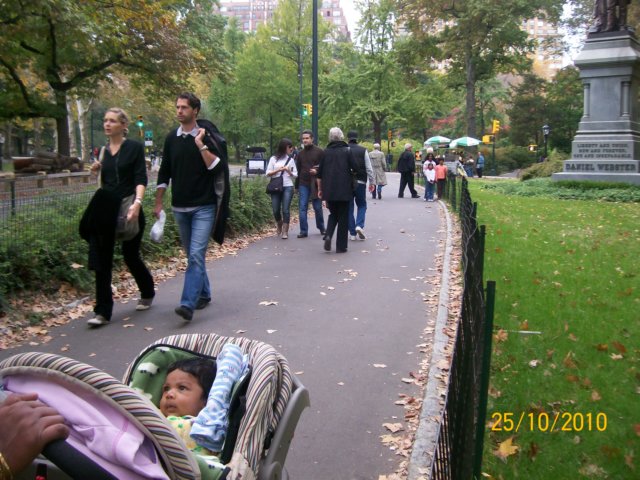 centralparkstroll.jpg