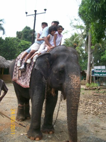 elephantride.jpg