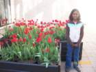 miriamwithtulips_small.jpg