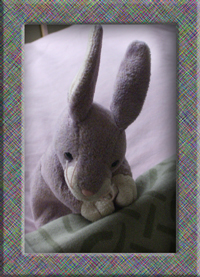 Purple rabbit toy - Small Defenders