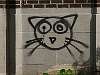 Cat graffiti