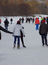 Lots of people ice skating on the Rideau Canal