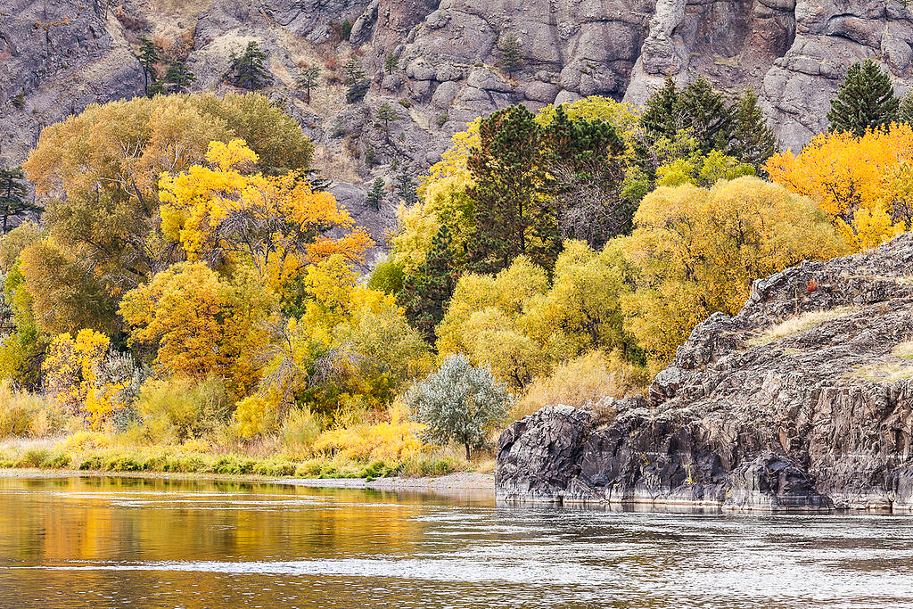 Shades of Autumn