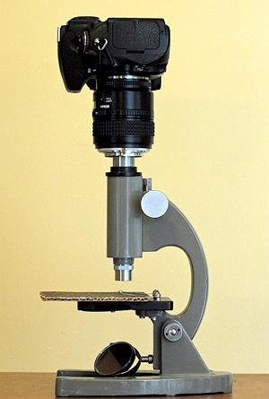 microscope 11-100x