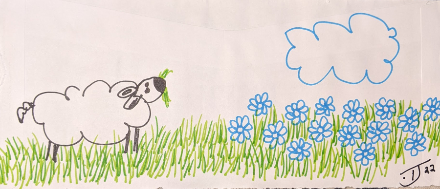 Colour marker drawing of a lone sheep and cloud by T. Jamone June 2022