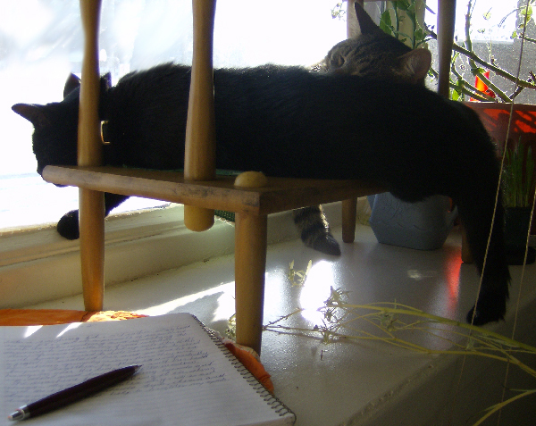 Two cats napping on writer s window sill